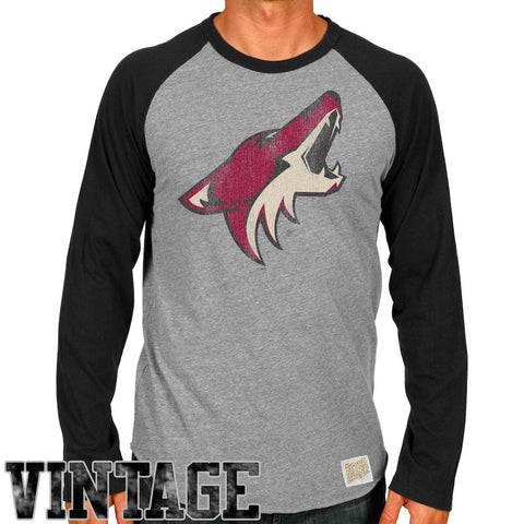 Original Retro Brand Arizona Coyotes Raglan Long Sleeve T-Shirt - Ash