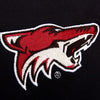 Arizona Coyotes Antigua Leader 1/4 Zip Pullover - Black