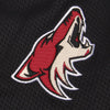 Arizona Coyotes Reebok Center Ice Baselayer Quarter-Zip Jacket - Black
