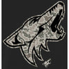 Men's Arizona Coyotes Black Rink Warrior Pullover Hoodie