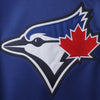 Toronto Blue Jays Stitches Pullover Fleece Hoodie with Contrast Hood - Royal