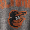 Baltimore Orioles Majestic Threads Team Favorite French Terry Raglan Sleeve Sweatshirt - Black
