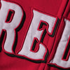 Cincinnati Reds Majestic Youth Team Wordmark Full-Zip Hoodie - Red