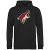 Arizona Coyotes Rinkside Youth Primary Logo Pullover Hoodie - Black