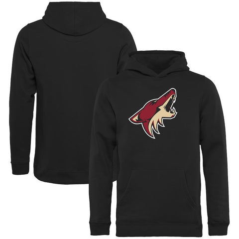 Arizona Coyotes Rinkside Youth Primary Logo Pullover Hoodie - Black