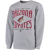 Arizona Coyotes Majestic Ice Classic Pullover Sweater - Gray