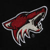 Arizona Coyotes Antigua Youth Embroidered Victory Pullover Hoodie - Black