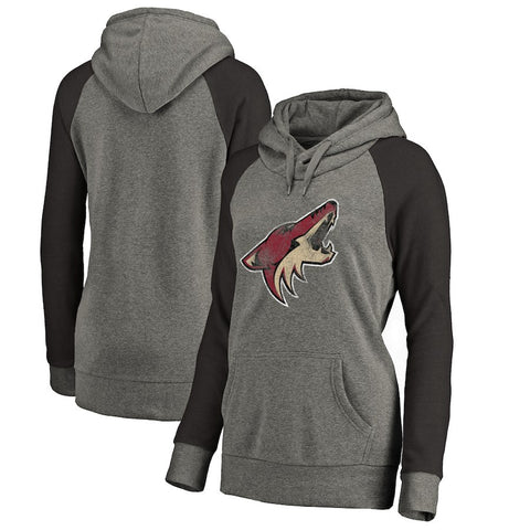 Arizona Coyotes Women's Distressed Team Primary Logo Tri-Blend Pullover Hoodie - Ash