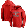 Carolina Hurricanes Big & Tall Victory Arch Pullover Hoodie