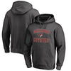 Arizona Coyotes Big & Tall Victory Arch Pullover Hoodie