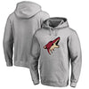 Arizona Coyotes   Big & Tall Primary Logo Pullover Hoodie - Ash