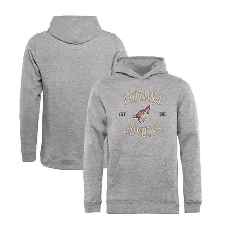 Arizona Coyotes   Youth Heritage Pullover Hoodie - Ash