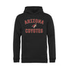 Arizona Coyotes   Youth Victory Arch Pullover Hoodie - Black
