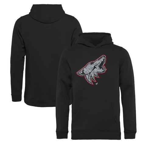 Arizona Coyotes   Youth Static Logo Pullover Hoodie - Black