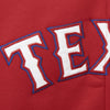 Texas Rangers Youth Wordmark Full-Zip Hoodie