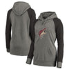 Arizona Coyotes   Women's Plus Sizes Team Distressed Pullover Hoodie - Heathered Gray