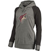 Arizona Coyotes   Women's Plus Sizes Team Distressed Pullover Hoodie - Heathered Gray