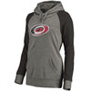 Carolina Hurricanes   Women's Plus Sizes Team Distressed Pullover Hoodie - Heathered Gray