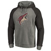 Arizona Coyotes   Big & Tall Team Distressed Pullover Hoodie - Heathered Gray