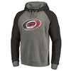 Carolina Hurricanes   Big & Tall Team Distressed Pullover Hoodie - Heathered Gray