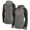 Carolina Hurricanes   Women's Plus Sizes Team Distressed Pullover Hoodie - Heathered Gray