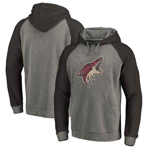 Arizona Coyotes   Big & Tall Team Distressed Pullover Hoodie - Heathered Gray