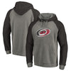 Carolina Hurricanes   Big & Tall Team Distressed Pullover Hoodie - Heathered Gray