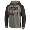 Arizona Coyotes   Timeless Collection Antique Stack Big & Tall Tri-Blend Raglan Pullover Hoodie - Ash