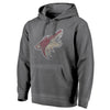 Arizona Coyotes   Shadow Washed Logo Pullover Hoodie - Black