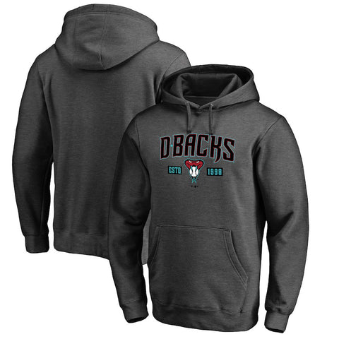 Arizona Diamondbacks   Big & Tall Snakeskin Hometown Collection Pullover Hoodie