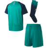 Tottenham Third Kids Football Kit 2018/19
